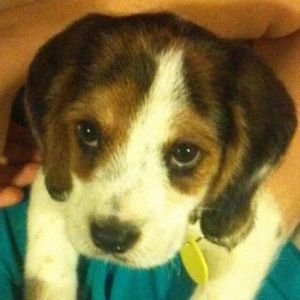 Meet your Posher, Kaitlin